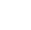icon1-2